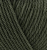 Wooltime 873 плющ