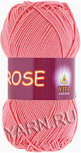 Rose 3905