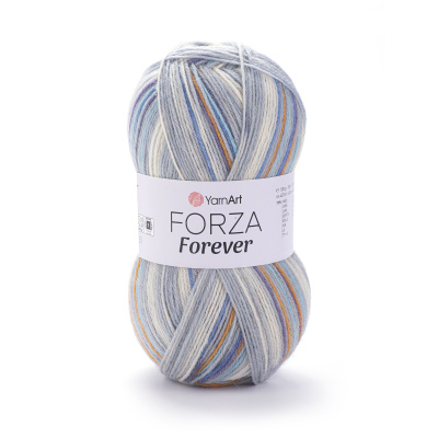 Forza Forever 2713