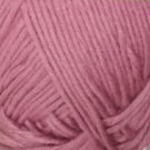 Bella 100 28 сухая роза