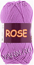 Rose 3934