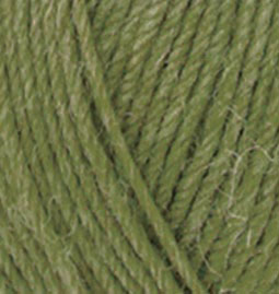 Superwash Artisan 139 горох