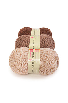 Монгольский верблюд